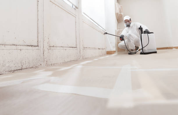 24/7 Emergency Black Mold Remediation experts in Petoskey, MI