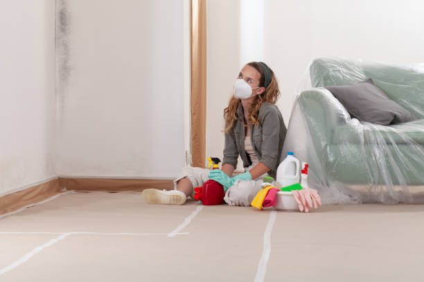 Reliable Black Mold Remediation contractor in Petoskey, MI by Car Mold Remediation